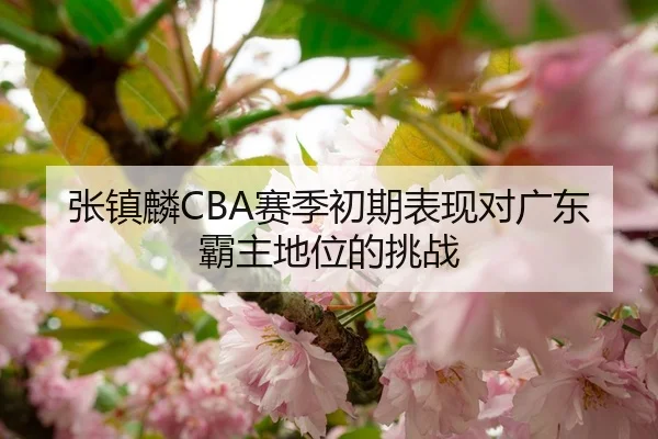 张镇麟CBA赛季初期表现对广东霸主地位的挑战
