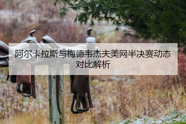 阿尔卡拉斯与梅德韦杰夫美网半决赛动态对比解析